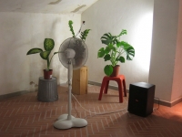40_img2439web.jpg