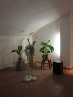 40_img2441web.jpg